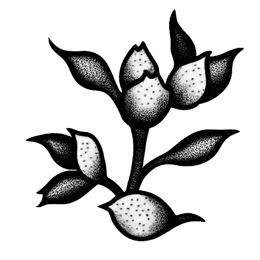 Thin Line Flowers Peach Blossoms Coral