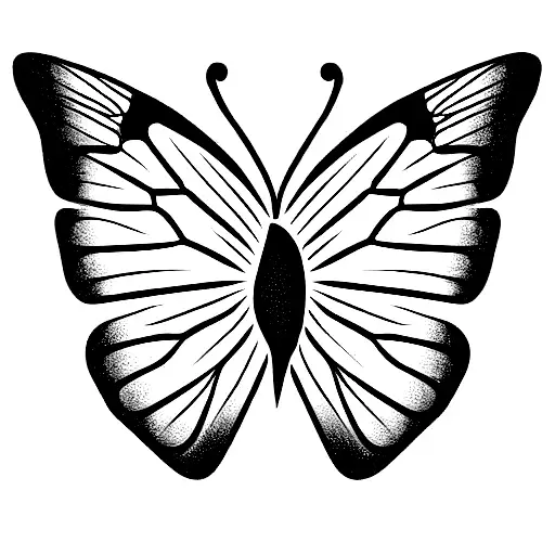 Butterfly With The Word Sonder