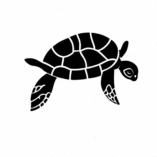 Turtle And Koala In Beach