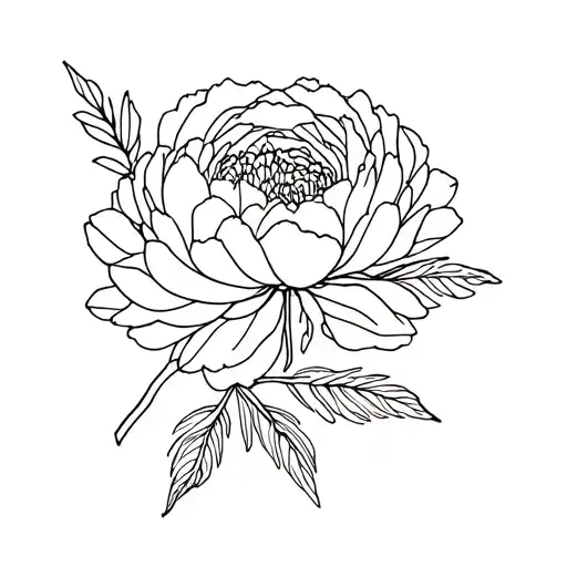 Peony And Geometric Foliage That Will Cover The Whole