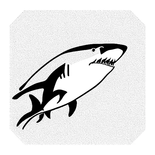 Swimming Shark With Its Shadow