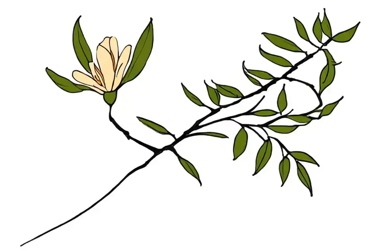 Olive Tree And A Flower