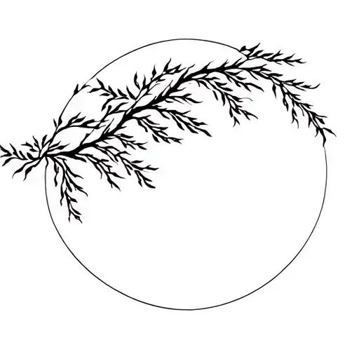 Willow Tree In The Wind