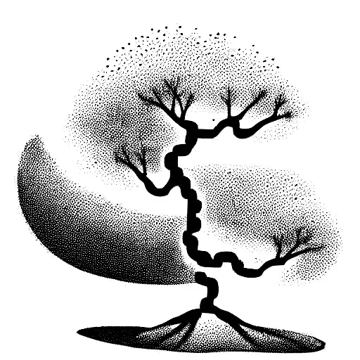 Bonsai Tree With Shadows