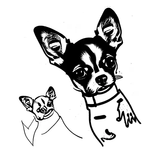 Black And White Chihuahua And Tan Chihuahua