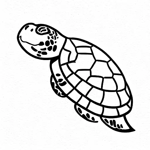 Turtle With A Tree And Star On The Shell