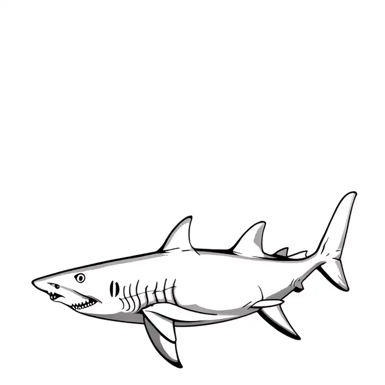 Sharks Swimming Top View