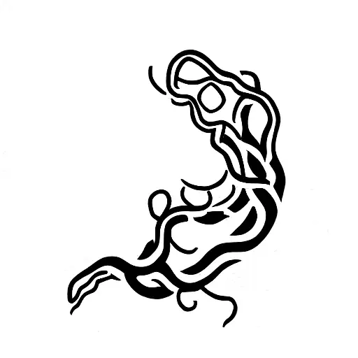 Snake Vines And Pomegranates