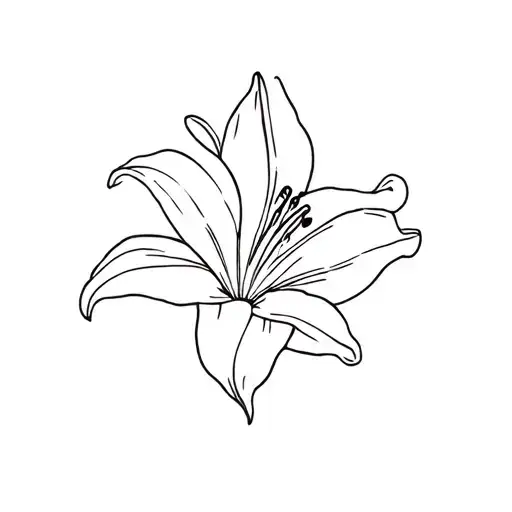 Minimalist Lily