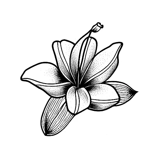 Lily Rose Magnolia Lavender