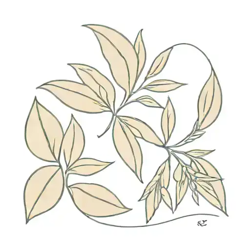 Olive Leaf And Ama