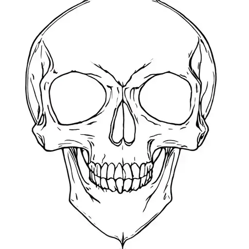 Horror Type Human Skull