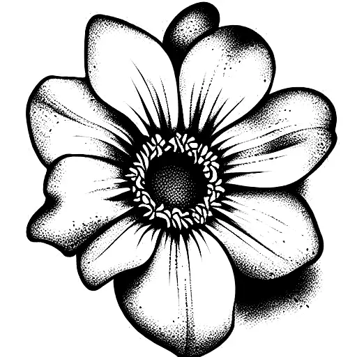 An Open Book With A Rose Daisy And Lily Coming Out Of The Center