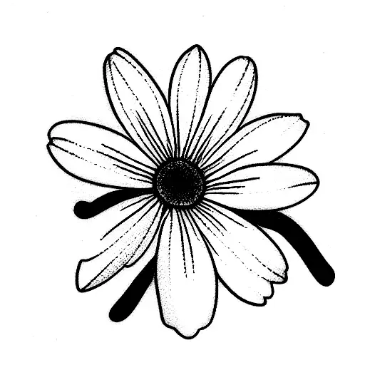 Daisy And Violet Andnarcissus Flowers