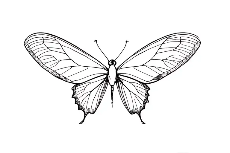 Butterfly Moth Celestial