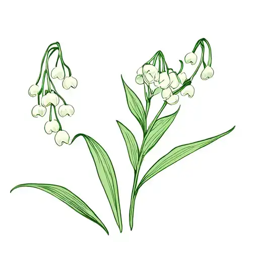Lily Of The Valley