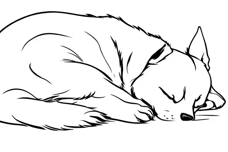 Sleeping Swiss Shepherd Dog