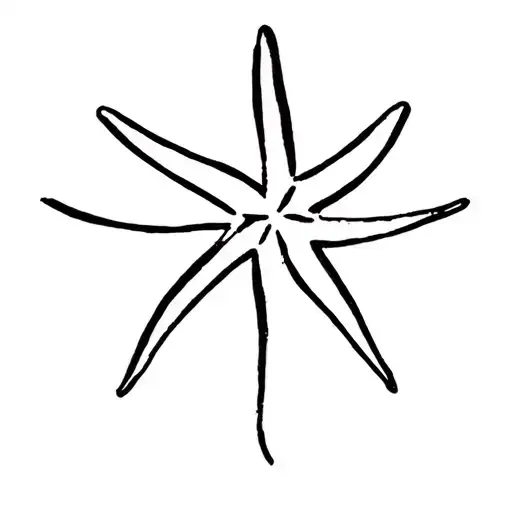 Sea Star
