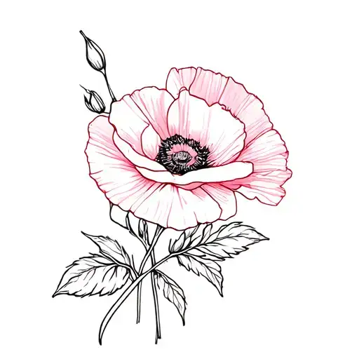 Bouquet Rose And Poppy Flower Intertwined