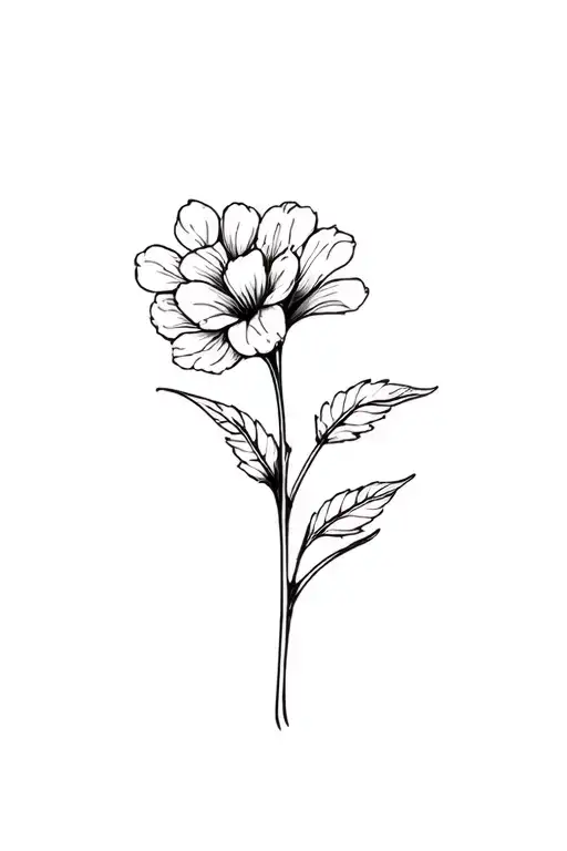 Fine Line Hawthorn Flower In Black And White