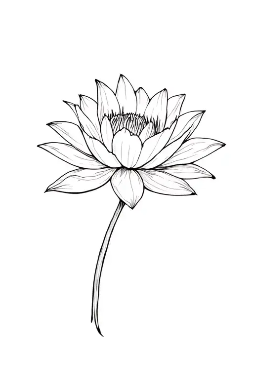 Basic Fine Line Water Lily Flower In Black And White