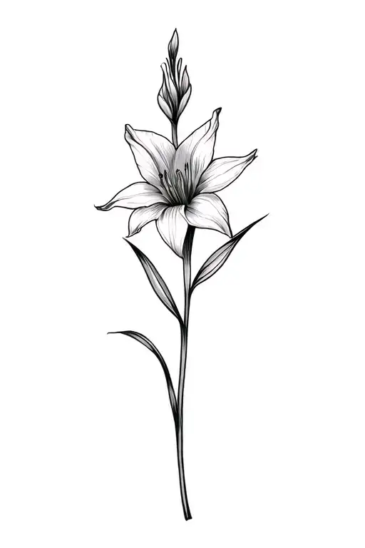 Basic Fine Line Gladiolus Flower In Black And White