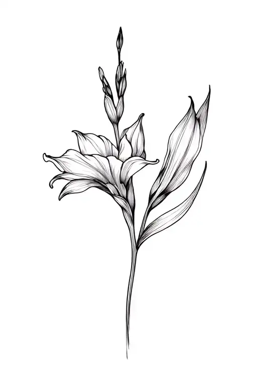 Basic Fine Line Gladiolus Flower In Black And White
