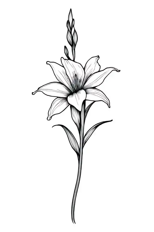 Basic Fine Line Gladiolus Flower In Black And White