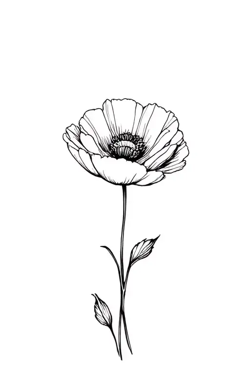 Basic Fine Line Poppy Flower In Black And White
