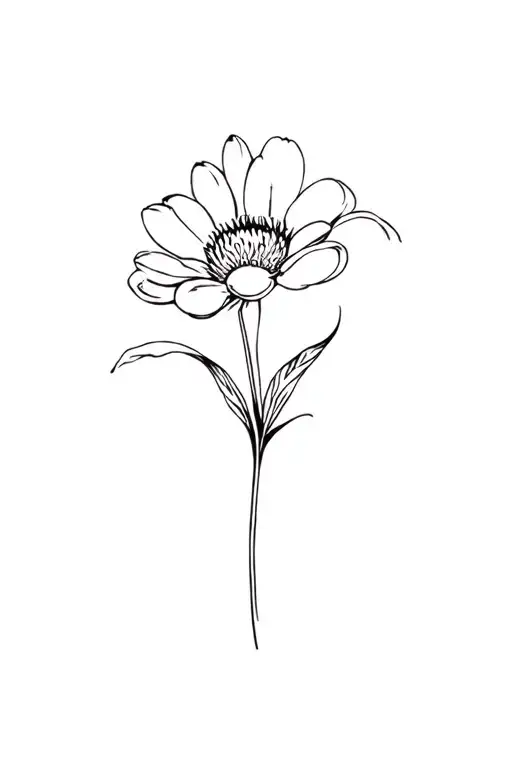 Fine Line Chrysanthemum Flower Black And White