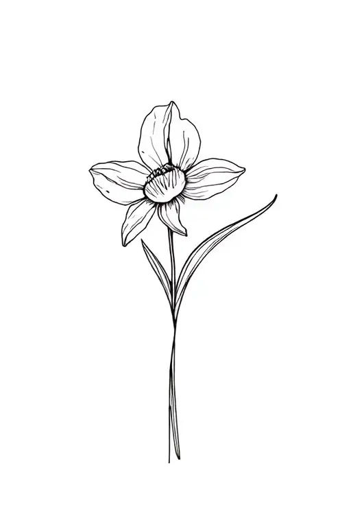 Fine Line Narcissus Flower