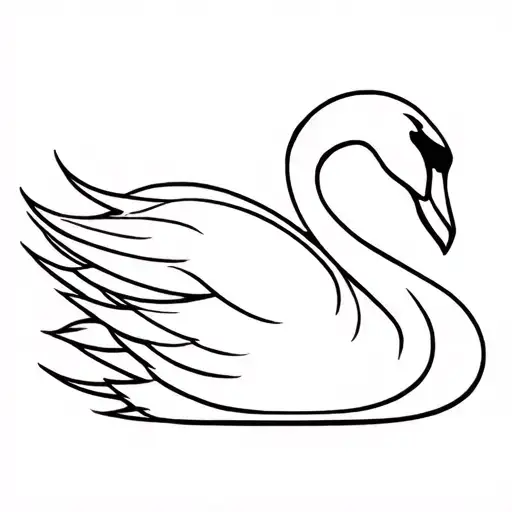 White And Black Swan