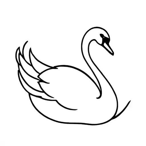 White And Black Swan