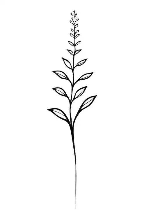 Fleetwood Mac Silver Springs