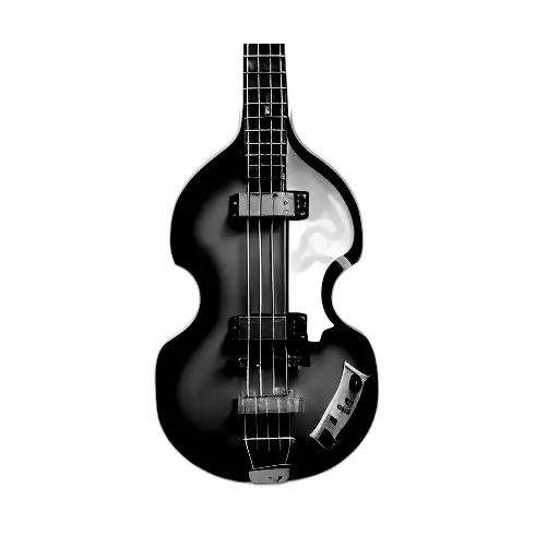 Hofner Bass Guitar