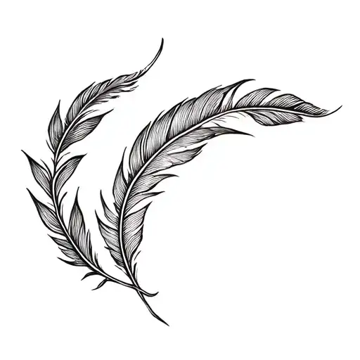 Feather And Leaf And Water