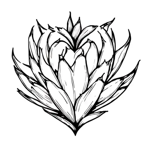 Agave And Heart