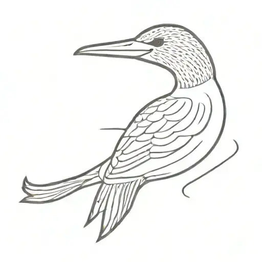 Loon Bird