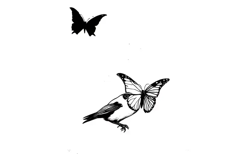Crow Chasing A Butterfly Flying