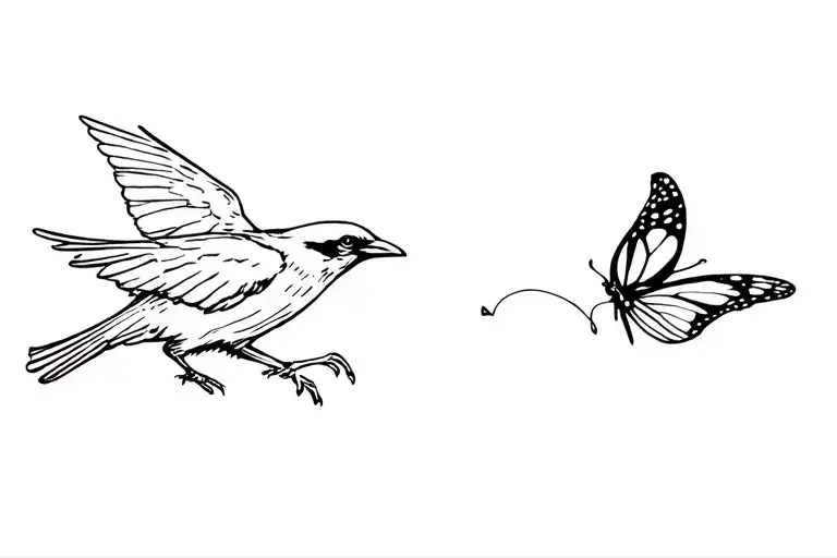 Flying Crow Chasing A Butterfly Flying Away