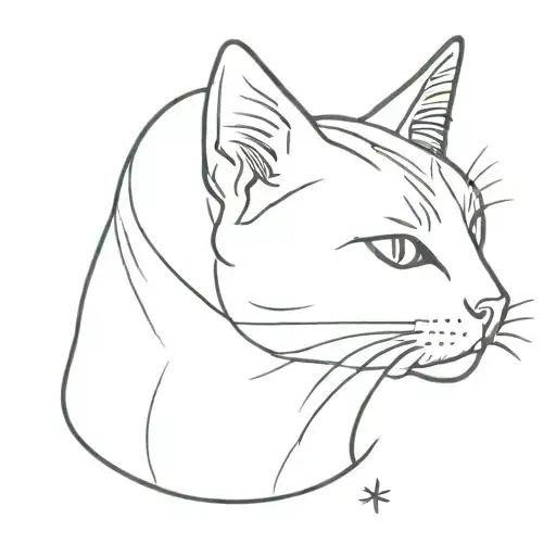 Cat That Passed Away