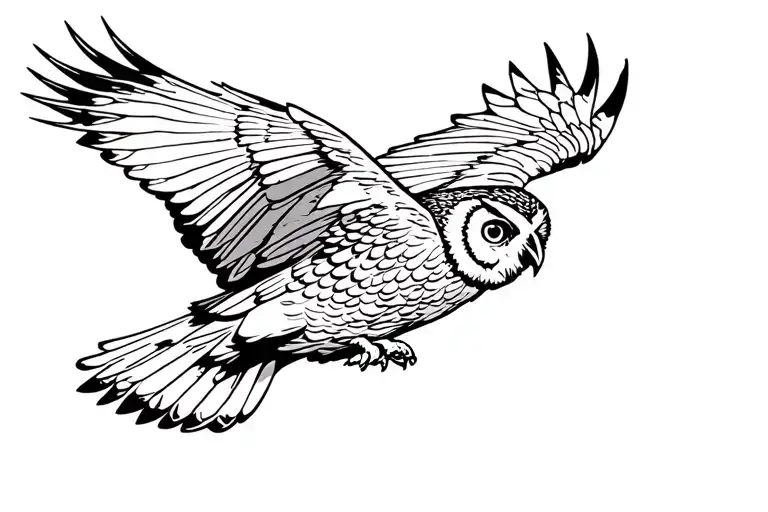 Owl Flying
