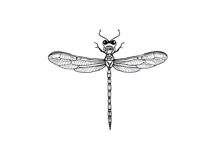 Dragonfly