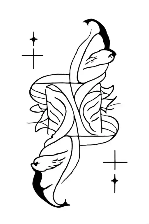 Straight Line And Astrological Sign Aquarius And Lion Winter And Summer In Opposition