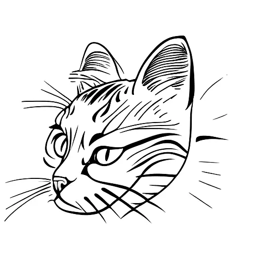 Cat Looking Out Of The Window