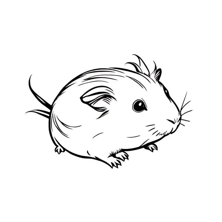 Guinea Pig