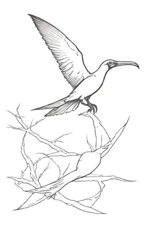 Perched Frigate Bird With Tale Made Up Of Many Frigate Birds
