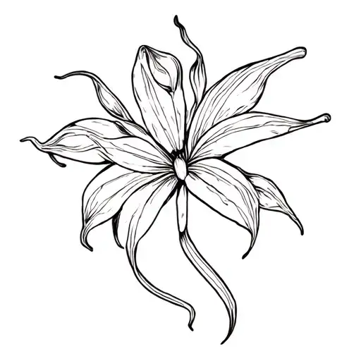 Butterfly Snake Spider Lilly