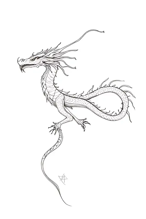 Dragon Whole Body