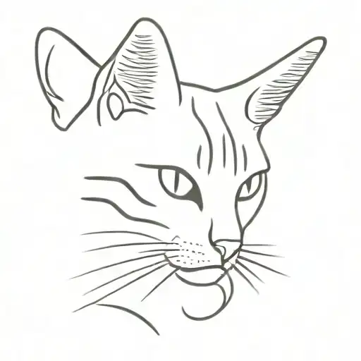 Tabby Cat